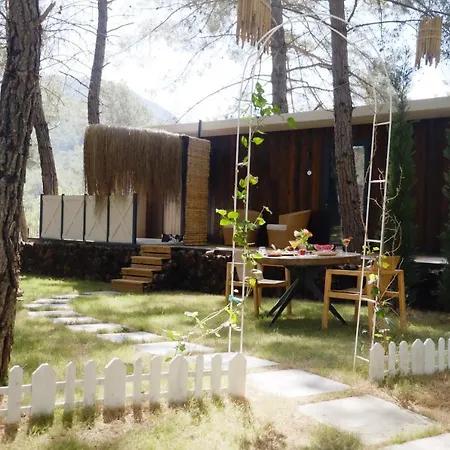 Mossa Afkule Kayaköy *