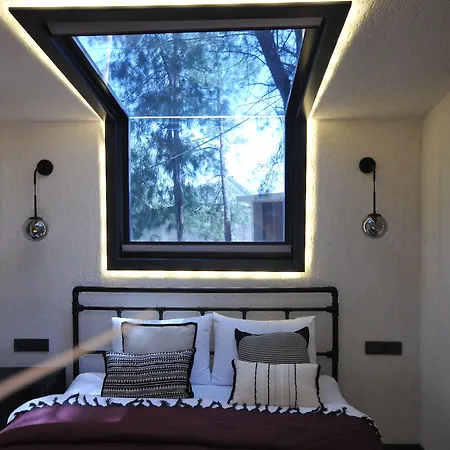 Mossa Afkule Kayakoey