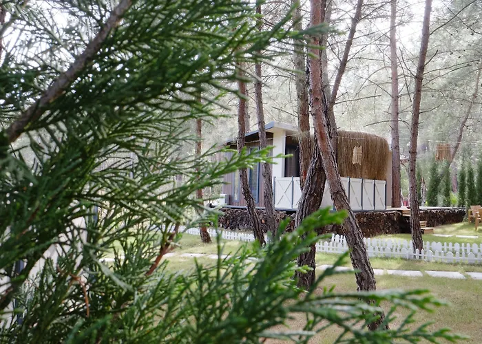 Hotel Mossa Afkule Kayakoey Fethiye