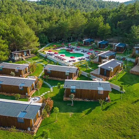 Mossa Afkule Kayakoey * 费特希耶