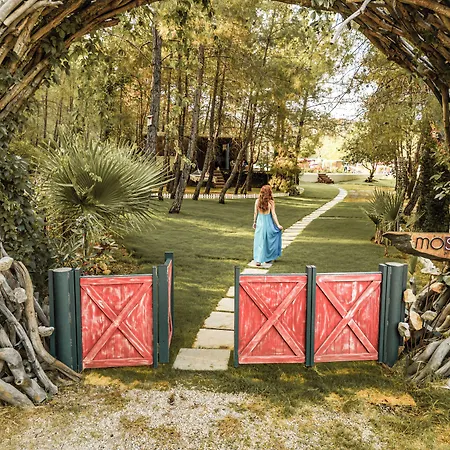 酒店 Mossa Afkule Kayakoey *