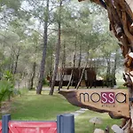 Hotel Mossa Afkule Kayakoey Fethiye