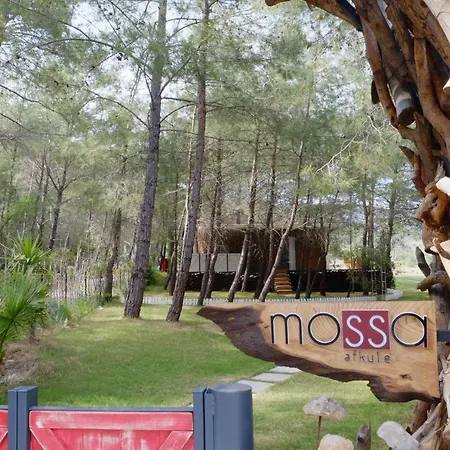 酒店 Mossa Afkule Kayakoey 费特希耶