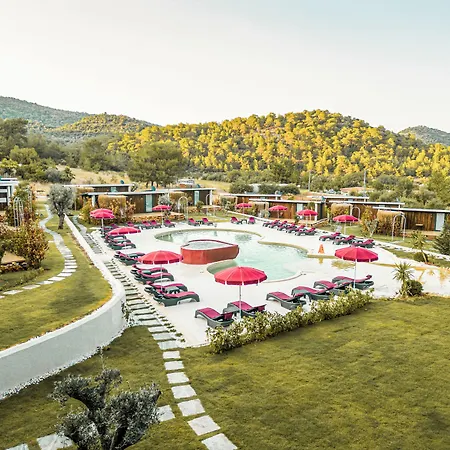 Mossa Afkule Kayakoey