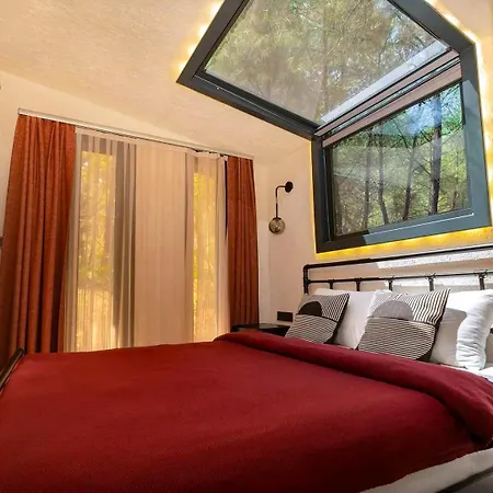 Hotel Mossa Afkule Kayakoey *