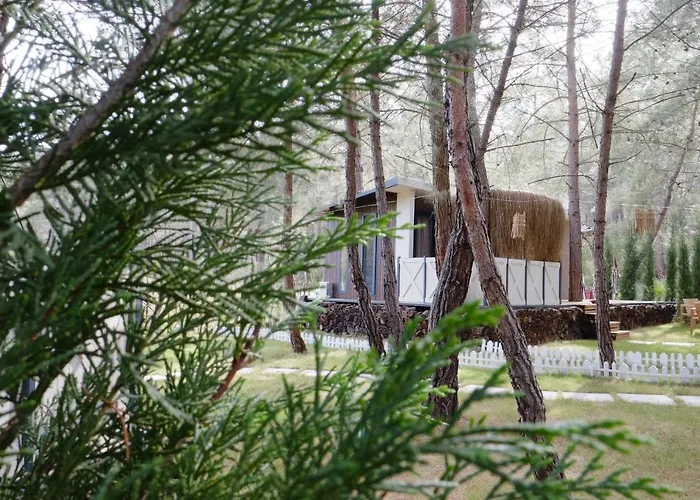 Hotel Mossa Afkule Kayakoey *