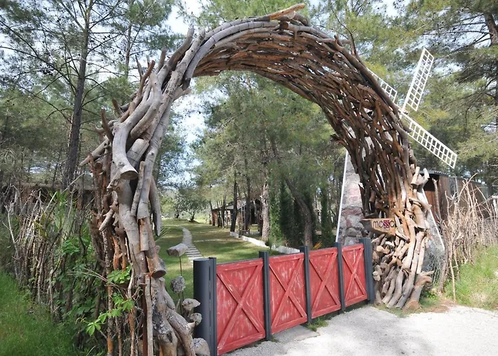 Mossa Afkule Kayakoey Hotel *