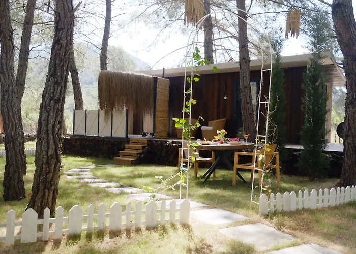 Mossa Afkule Kayakoey *