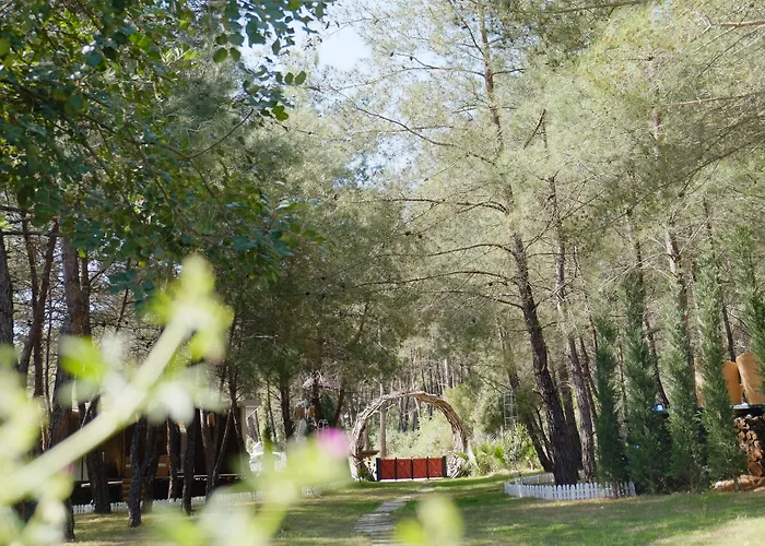 Mossa Afkule Kayakoey *