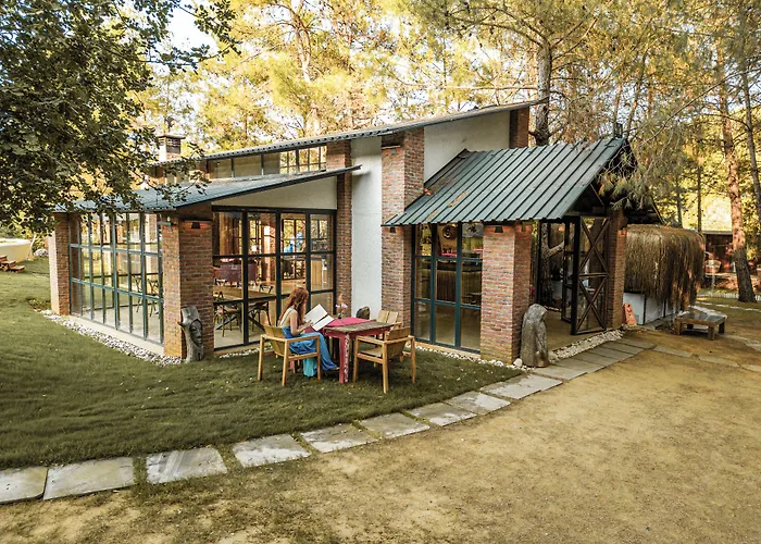 Mossa Afkule Kayakoey *