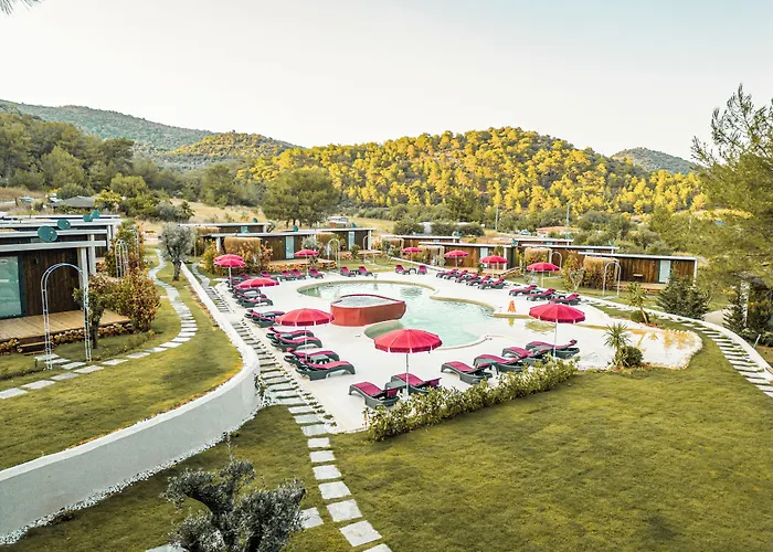 Mossa Afkule Kayakoey