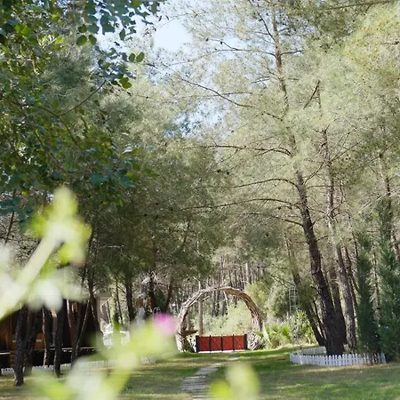 מלון Mossa Afkule Kayakoey