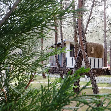 מלון Mossa Afkule Kayakoey פאטהיה