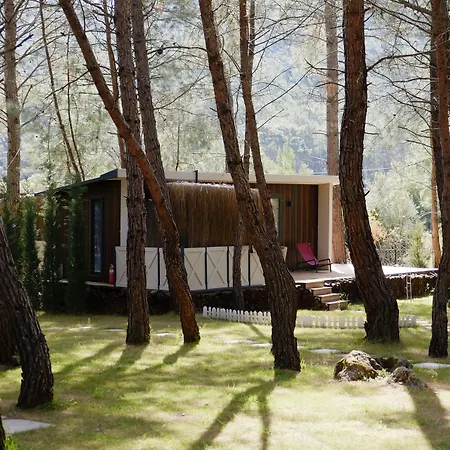 Mossa Afkule Kayakoey פאטהיה